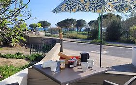 Meze Avec Vue Face A L'Etang